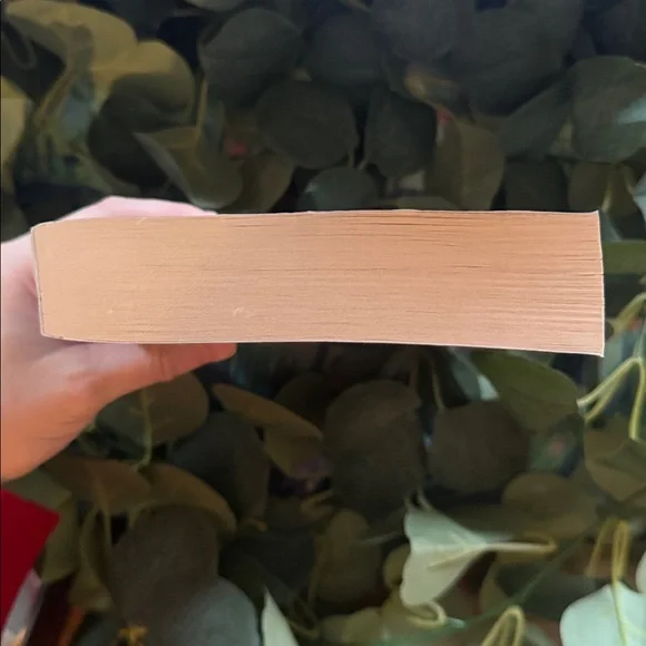 The Bone Witch by Rin Chupeco - Picture 4 of 5